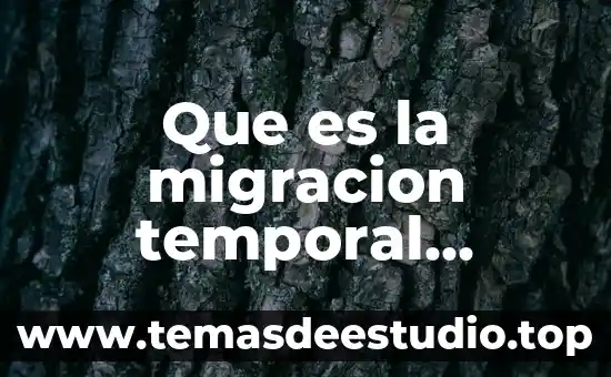 Que es la migracion temporal definitiva interna y externa