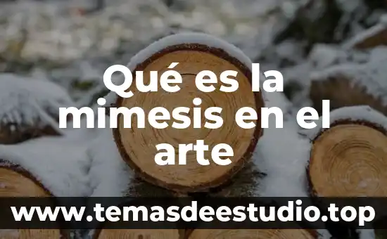 Que es el arte y como se conseptualiza 8 Qué es la mimesis en el arte
