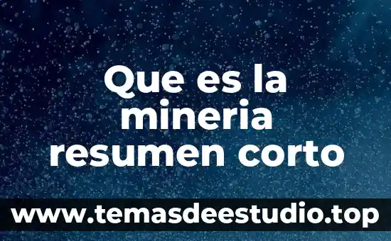 Que es la mineria resumen corto