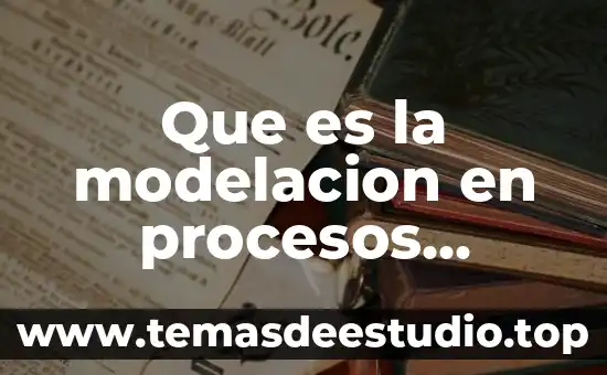 Que es la modelacion en procesos industriales