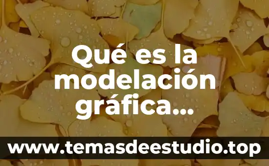 Qué es la modelación gráfica matemática