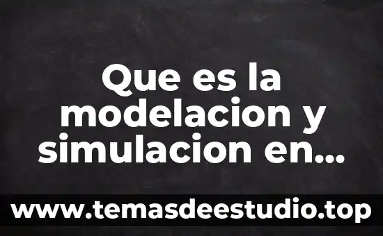 Que es la modelacion y simulacion en calculo