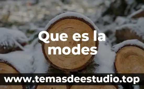 Alfombra met gala que es 6 Que es la modes