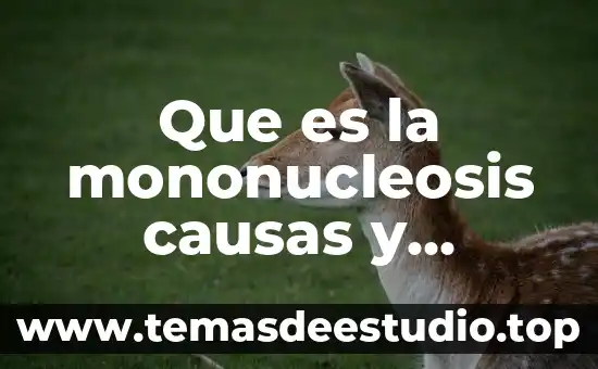 Que es el tope salarial para efectos del ptu 7 Que es la mononucleosis causas y efectos