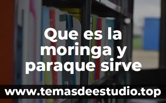 Que es un directorio y para que sirve significado 4 Que es la moringa y paraque sirve