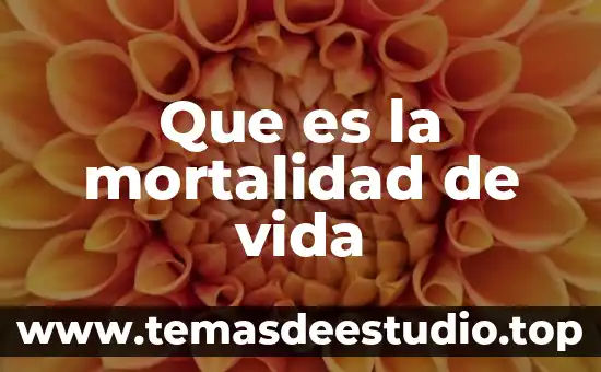 Que es el principio material de vida etica 5 Que es la mortalidad de vida