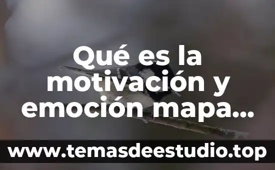 Que es la historia conceptual y ejemplo 4 Qué es la motivación y emoción mapa conceptual