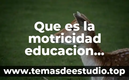 Que es la motricidad educacion fisica
