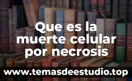 Qué es la arquitectura celular 3 Que es la muerte celular por necrosis