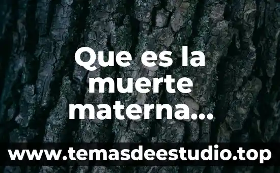 Que es la muerte materna directa