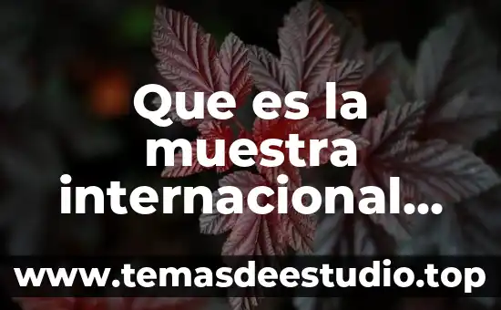 Que es la escala internacional de temperatura 3 Que es la muestra internacional de danza contemporánea en guadalajara