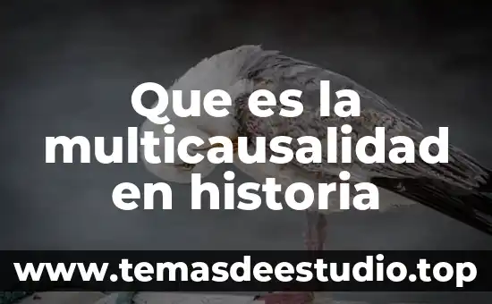 Que es una variante de una historia 3 Que es la multicausalidad en historia