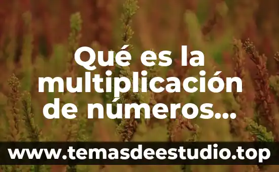 Que es elongación quimica 4 Qué es la multiplicación de números con signo