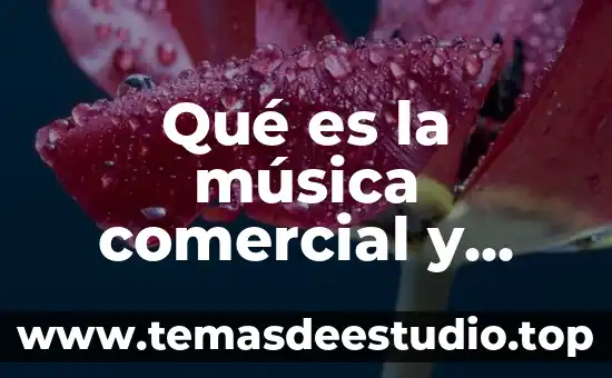 Que es lo que dice la musica de ti 3 Qué es la música comercial y ejemplos