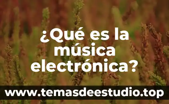Qué es un carril de electrónica 7 ¿Qué es la música electrónica?