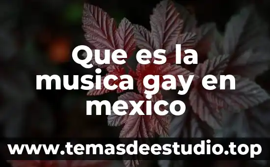 Qué es la música y géneros musicales 5 Que es la musica gay en mexico