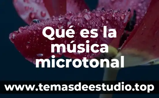 Qué es la música microtonal