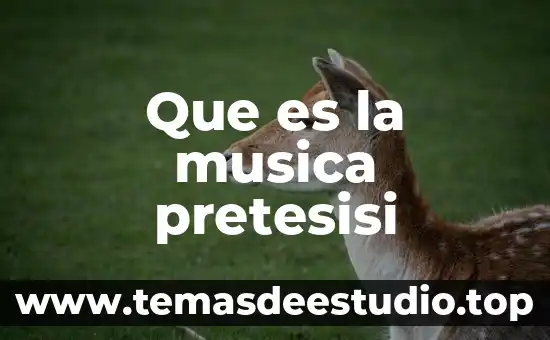 Que es la musica pretesisi