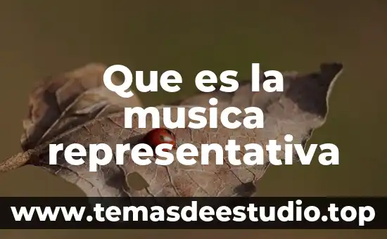 Música andina que es 4 Que es la musica representativa