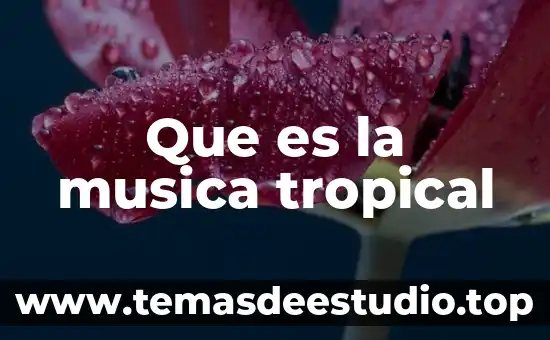 Qué es la armadura en la música 4 Que es la musica tropical