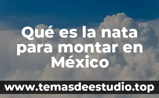 Qué es la nata para montar en México