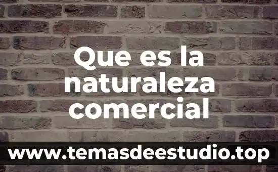 Que es el nombre comercial de una empresa ejemplos 4 Que es la naturaleza comercial