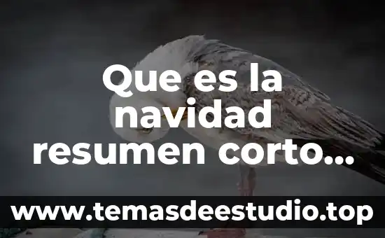 Que es la navidad dibujos a color 3 Que es la navidad resumen corto para niños