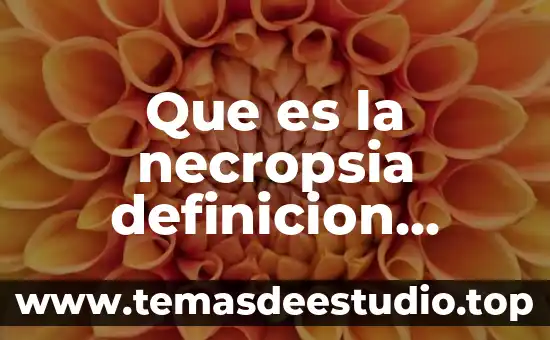 Que es el definicion significado de codigo de etica personal 4 Que es la necropsia definicion etimologica