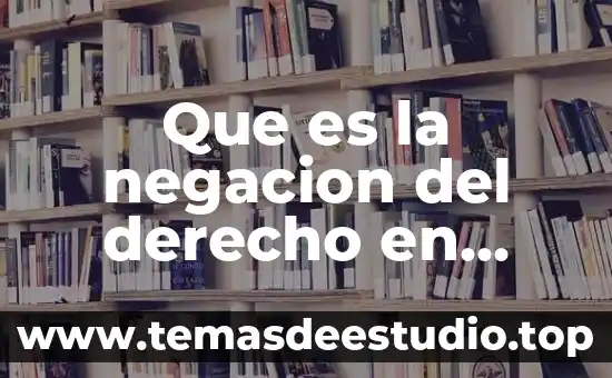 Que considero que es el derecho 5 Que es la negacion del derecho en derecho procesal civil