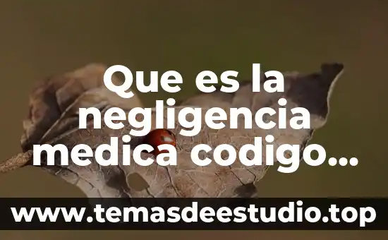 Que es derecho penal segun zaffaroni 8 Que es la negligencia medica codigo penal mexicano