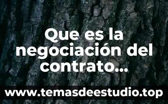 Que es el principio de ejecución del contrato 3 Que es la negociación del contrato colectivo