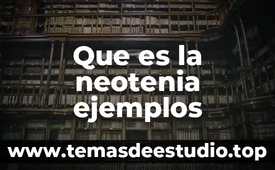 Que es la neotenia ejemplos