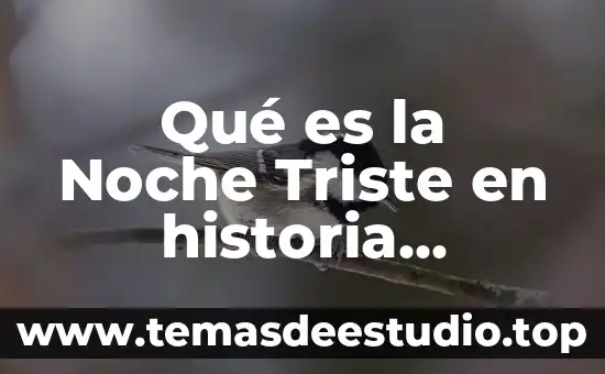 Qué es la Noche Triste en historia documental
