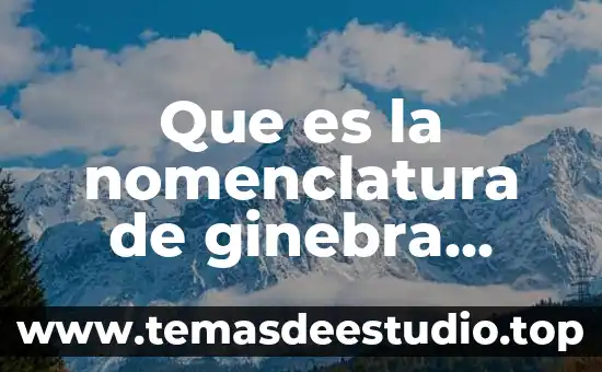 Que es ad valorem en comercio exterior 8 Que es la nomenclatura de ginebra comercio exterior
