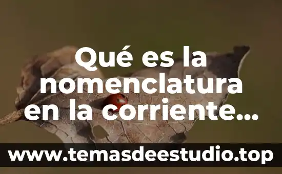 Qué es la nomenclatura en la corriente eléctrica