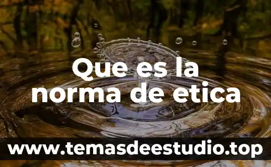 Que es la norma de etica