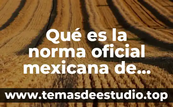 Partido oficial que es historia de México 5 Qué es la norma oficial mexicana de ergonomía