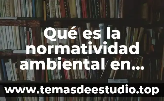 Que es la sociedad multicultural en mexico 3 Qué es la normatividad ambiental en México