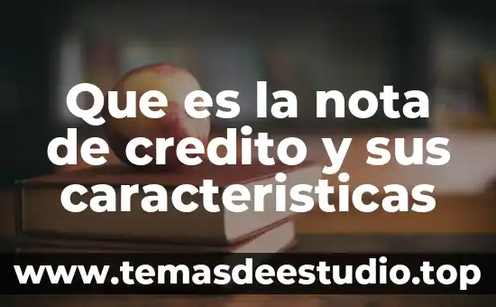 Qué es el número de crédito en automóvil buró 6 Que es la nota de credito y sus caracteristicas
