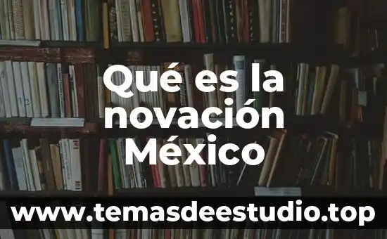 Que es un monumento en vilormetrica de mexico 4 Qu茅 es la novaci贸n M茅xico