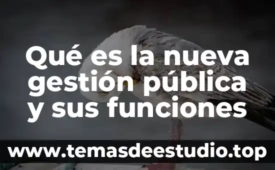 Qué es la gestión de la distribución de la planta 5 Qué es la nueva gestión pública y sus funciones