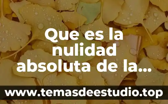 Que es la nulidad absoluta de la prueba