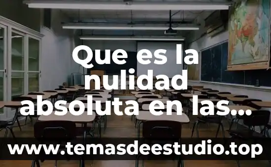 Que es la nulidad absoluta en las pruebas