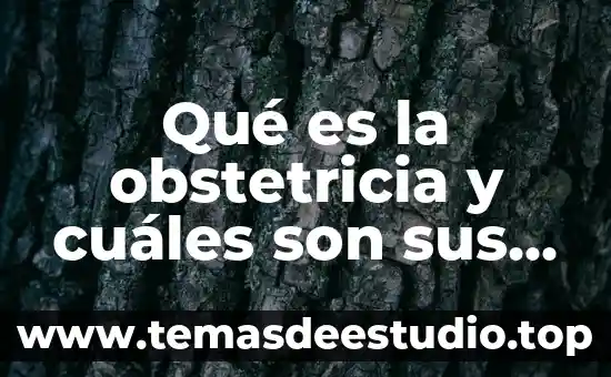 Qué es la obstetricia y cuáles son sus funciones