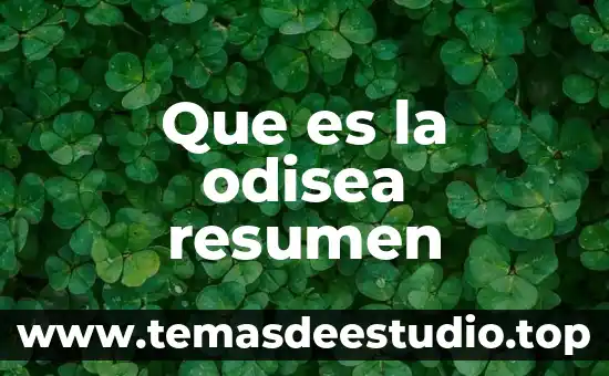 Que es fetiche resumen 8 Que es la odisea resumen