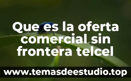 Módulo de distribuidores Telcel que es el número de agente 4 Que es la oferta comercial sin frontera telcel