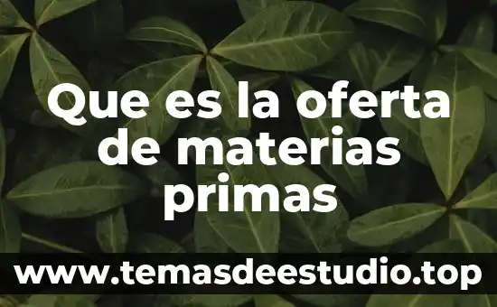 Que es la oferta en un sistema de producción 3 Que es la oferta de materias primas