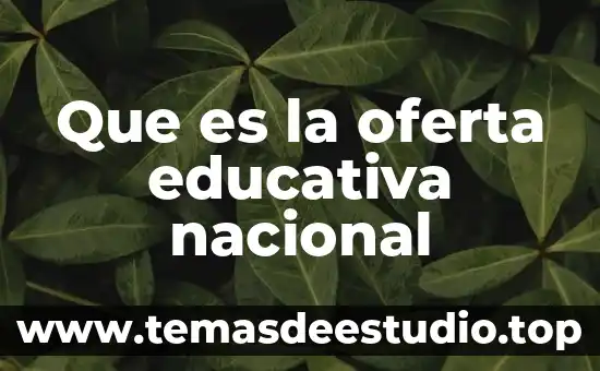 Que es la oferta en un sistema de producción 8 Que es la oferta educativa nacional