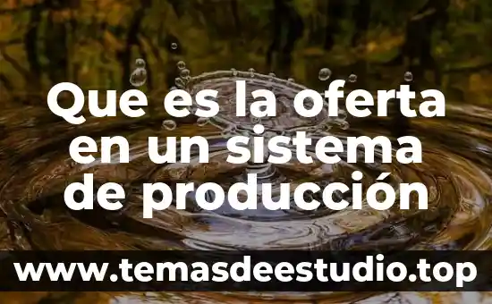 Que es oferta marketing 8 Que es la oferta en un sistema de producción