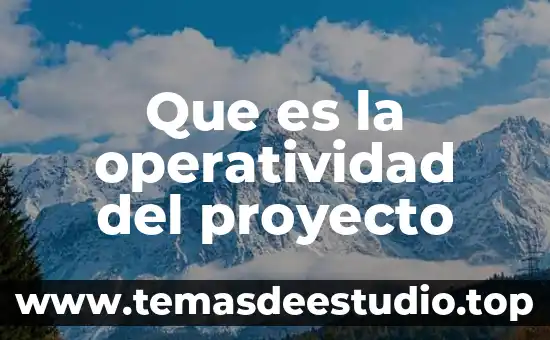 Qué es el incio de un proyecto 6 Que es la operatividad del proyecto